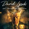 David Lynch and Transcendental Meditation