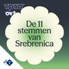 De 11 stemmen van Srebrenica