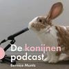 De konijnenpodcast