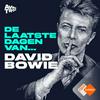 De Laatste Dagen Van... David Bowie