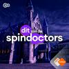 De Spindoctors