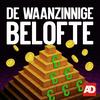 De waanzinnige belofte