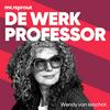 De Werkprofessor