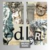 DELFOS RADIO