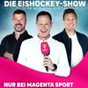Die Eishockey Show