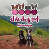 Disc Dog Pod