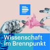 Wissenschaft im Brennpunkt