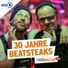 Do You Remember? - 30 Jahre Beatsteaks