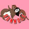 Donnole
