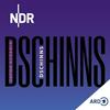 DSCHINNS