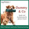 Dummy & Co - der Hundepodcast für artgerechte Beschäftigung