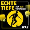 Echte Tiefe – den BVB verstehen