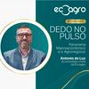 Dedo no Pulso - Panorama Macroeconômico e o Agronegócio
