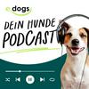 edogs - Dein Hunde Podcast