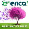 Ehi, Erica! Parliamo di PFAS?