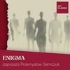 Enigma