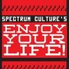 Enjoy Your Life Podcast
