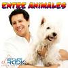 Entre Animales  - Pet Life Radio Original