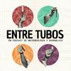 Entre Tubos