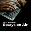 Essays On Air