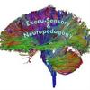 Execu-Sensory & Neuropedagogy Educational Consulting Services