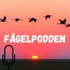 Fågelpodden