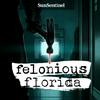 Felonious Florida