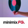 FG MINIMIX