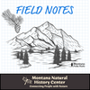 Field Notes
