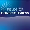 Fields of Consciousness