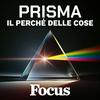 Focus Prisma - Il perché delle cose