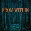 From Within: A Tale of the Macabre