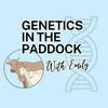 Genetics in the Paddock with Emily