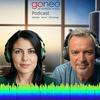 Webprofessionals Podcast -powered by goneo