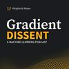 Gradient Dissent: Conversations on AI