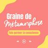 Graine de Métamorphose