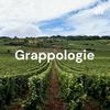 Grappologie - Vin &amp; Podcast