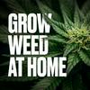 Grow Weed at Home
