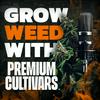 Grow Weed with Premium Cultivars