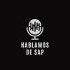 Hablamos de SAP