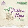 Lent 2026: Stubborn Hope