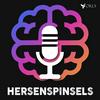 Hersenspinsels