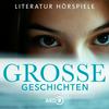 Große Geschichten - ARD Literatur-Hörspiele