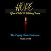 Hope After Child & Sibling Loss/the empty chair endeavor