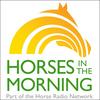 Horses in the Morning