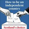 How to be an independent country: Scotland's choices from The Scotsman