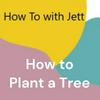 How to Plant a Tree