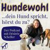 Hundewohl ...dein Hund spricht, hörst du zu?