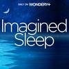 Imagined Sleep