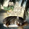 In A Purrfect World - Pet Life Radio Original